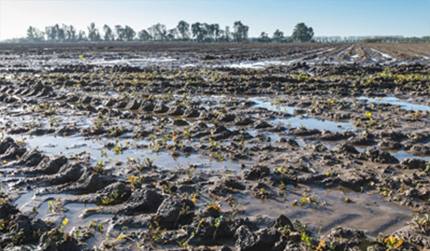 toestand van de bodem met stilstaand water